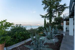 Bellevue Molet apartments Koper