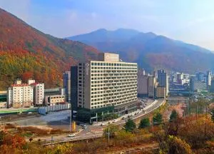 Jeongseon Intoraon Hotel - Danyang