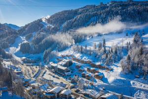 Apartment Dorf Wagrain Alpenleben by AlpenTravel