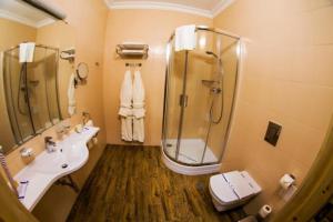 Карпатські зорі SPAhotel