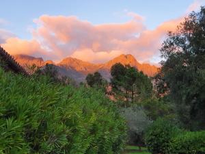 Villas Domaine Codaleone : photos des chambres