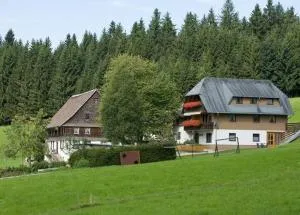 Ferienwohnung-Talblick - Erlenbach