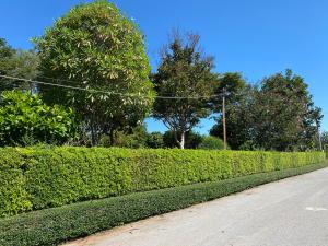 พิมพ์วนา เขาใหญ่