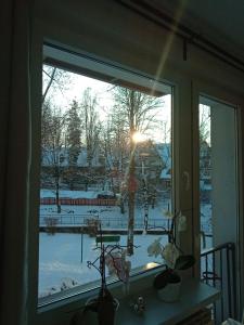 Apartament Zuzia