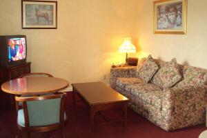 King Suite - Non-Smoking room in Executive Inn