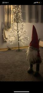 Apartment Skadarlija FREE parking