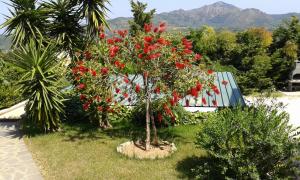 Apartment in villa 2 to 3 persons with large private garden