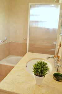 El Sueño de Teresita