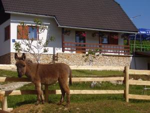 3 hvězdičkový apartmán Apartment Goran Poljanak Chorvatsko