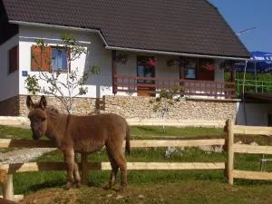 Apartment Goran - Poljanak