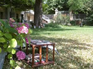 Villa des Figuiers photo 6