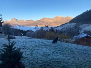 Chalets Savoie : photos des chambres