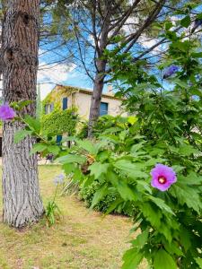 Maisons de vacances Mas la Pauline Gites de charme & roulotte : photos des chambres