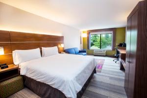 King Suite - Non-Smoking room in Holiday Inn Express Hotel & Suites Bethlehem Airport/Allentown area an IHG Hotel