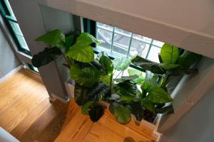 Clerigos Townhouse Porto by PCH