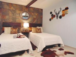 Coyotito Beds Coyoacan Confort y flexibilidad