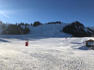 Appartements STUDIO 4 Personnes a 80m des pistes de ski : photos des chambres