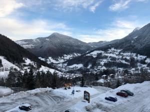 Appartements STUDIO 4 Personnes a 80m des pistes de ski : photos des chambres