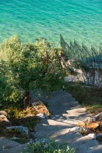 Villa Victoria Apartments Thassos Greece