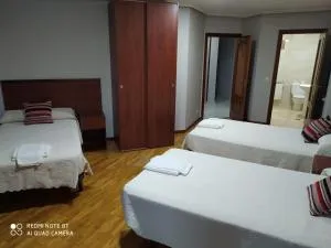 Hostal Cerecedo - 维尔根德尔卡米诺
