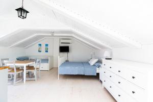 Ribar 2