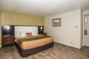 Fabulous Chalet Inn