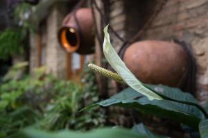 La Sultana Apartamentos