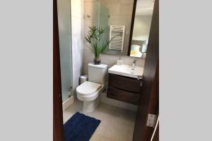 Departamento Parque Pinares Orilla de Lago Villarrica