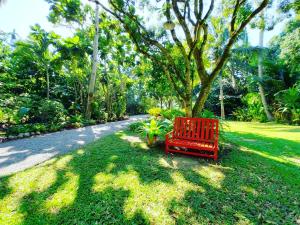 River CoCo @ Amphawa