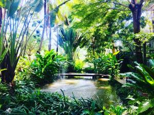 River CoCo @ Amphawa