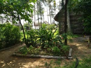 Sukriti beach Resort