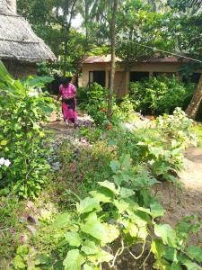 Sukriti beach Resort