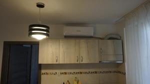 City center apartment near Botanic Park