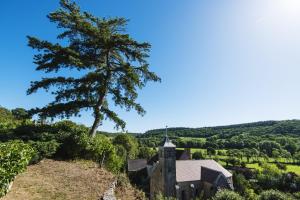 Maisons de vacances Le Domaine des Carriers - Gites : photos des chambres