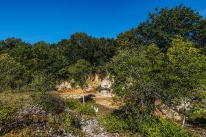 Maisons de vacances Le Domaine des Carriers - Gites : photos des chambres