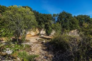 Maisons de vacances Le Domaine des Carriers - Gites : photos des chambres