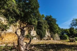 Maisons de vacances Le Domaine des Carriers - Gites : photos des chambres