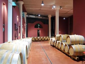 Apartment Le Palaie - Oliveto by Interhome