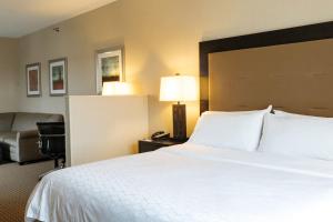 Standard King Room with Sofa Bed room in Holiday Inn Express & Suites - Olathe North an IHG Hotel