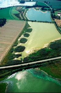 O2 Saone photo 6