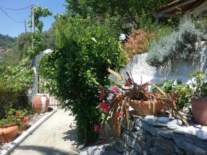 Paradise Found - A Greek Retreat with The View Skopelos Greece