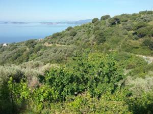 Paradise Found - A Greek Retreat with The View Skopelos Greece