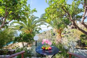 Paradise Found - A Greek Retreat with The View Skopelos Greece