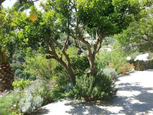 Paradise Found - A Greek Retreat with The View Skopelos Greece