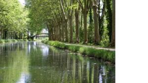 Appartements Appartement d'une chambre avec piscine partagee jardin amenage et wifi a Blaignac : photos des chambres