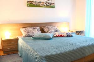 Charming Villa near Žminj with Private Pool