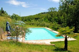 Charming Apartment in Montepulciano 45m² with shared pool