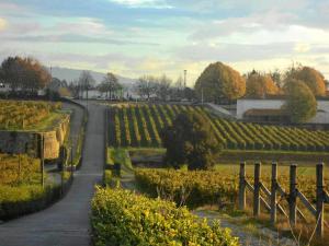 Charming House in Requião with Shared Pool