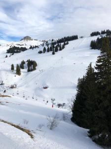 Appartements Appartement d'une chambre a Thollon les Memises a 360 m des pistes avec vue sur le lac et balcon amenage : photos des chambres