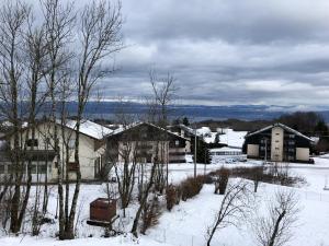 Appartements Appartement d'une chambre a Thollon les Memises a 360 m des pistes avec vue sur le lac et balcon amenage : photos des chambres